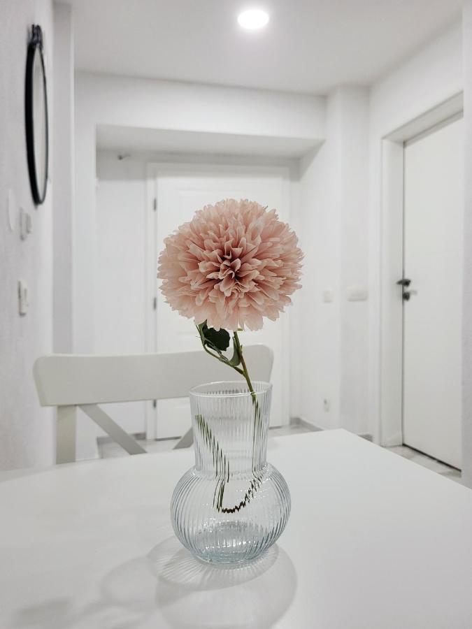 Stara Posta Apartment 5 Grosuplje Buitenkant foto